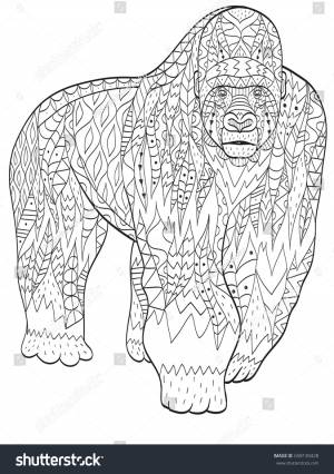 Vector Coloring Gorilla Adults Illustration Antistress