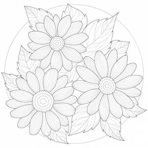 Раскраска для детей из мультфильма горилла