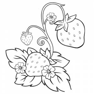 Раскраска дедушкина клубника