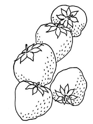 Раскраски Клубника