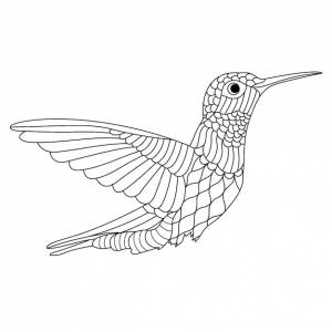 Zentangle стзованная милая колибри, летящая антистрессовая раскраска для взрослых