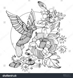 Hummingbird Colibri Coloring Book Adults Vector