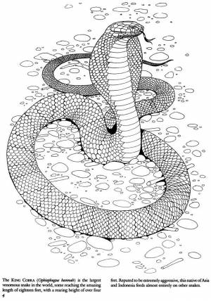 Welcome to Dover Publications