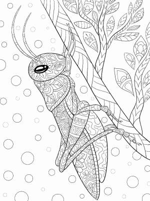 Раскраски Кузнечик Aнтистресс