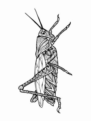 Раскраски Кузнечик Aнтистресс