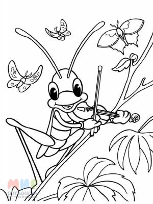 Раскраска Кузнечик