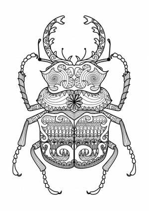 Раскраска Сложный Жук