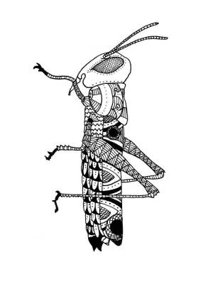 Раскраски Кузнечик Антистресс