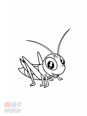 Раскраска Кузнечик песню поет при свечке