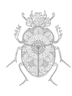Раскраски Жук Антистресс