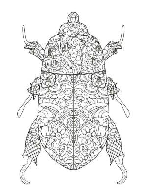 Раскраски Жук Антистресс
