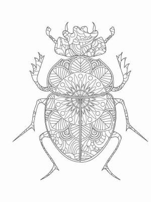Раскраски Жуки Антистресс