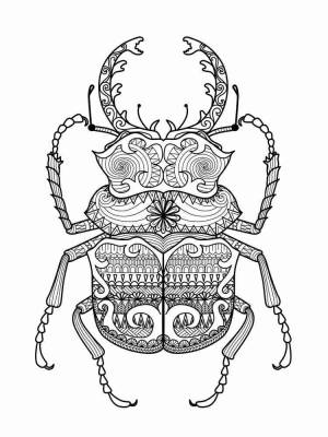 Раскраски Жуки Антистресс
