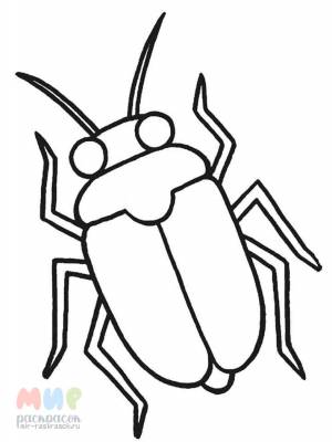 Раскраска Жук