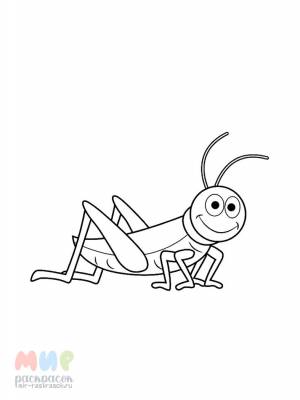 Раскраска Кузнечик песню поет при свечке