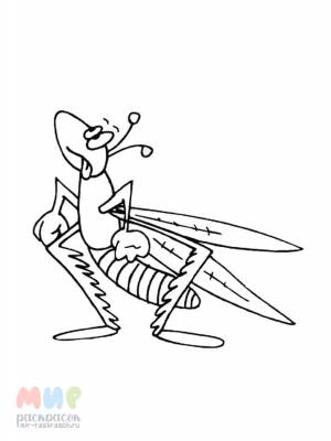 Раскраска Кузнечик песню поет при свечке