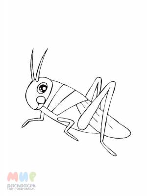 Раскраска Кузнечик песню поет при свечке