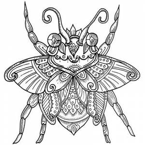 Раскраски животные птицы насекомые для взрослых