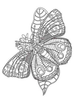 Раскраски Насекомые Антистресс