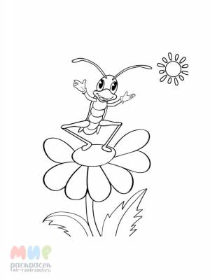 Раскраска Кузнечик песню поет при свечке