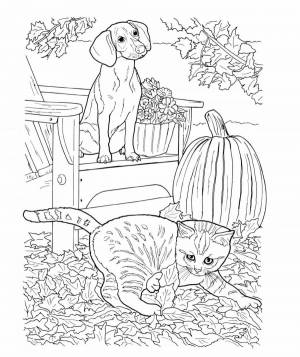Котенок и щенок раскраска
