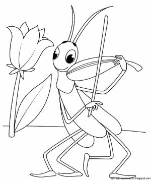 Кузнечик раскраска для детей