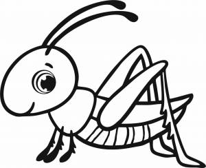 Кузнечик раскраска для детей