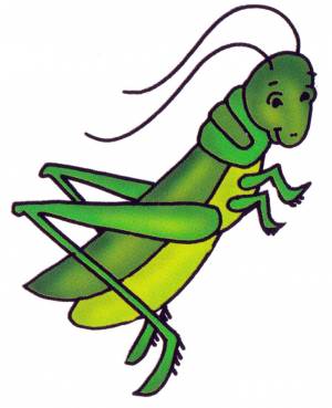 Раскраска Кузнечик на травинке