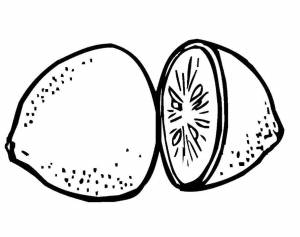 Раскраски Раскраска Лимон в разрезе фрукты