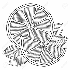 Coloring Book Page With Outlines Of Orange