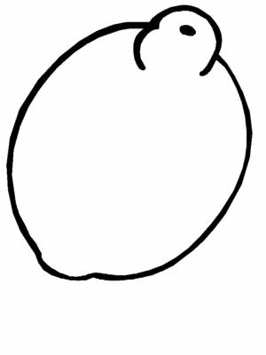 Раскраски Раскраска Лимон овощи