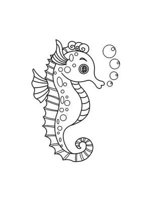 Раскраска Морской конек