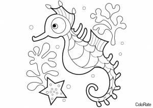 Раскраска Морской конёк