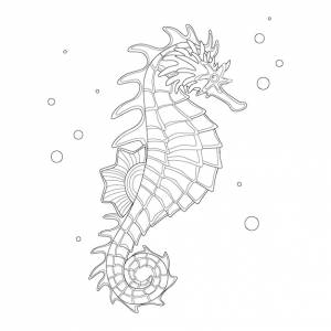 Морской конек рифовая рыба раскраска