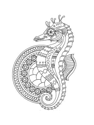 Раскраски Морской конек Антистресс