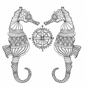 Раскраска морские коньки антистресс
