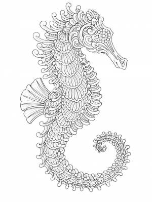 Раскраски Морской конек Антистресс