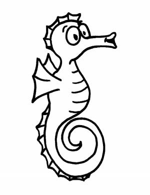 Раскраски конек