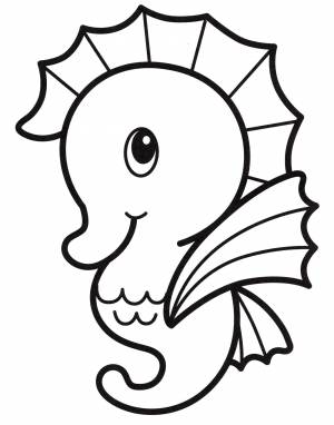 Раскраска Маленький морской конек