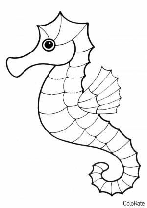 Раскраска Симпатичный морской конёк