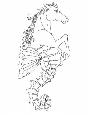 Раскраска Морской Конек