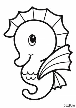 Раскраска Морской конёк