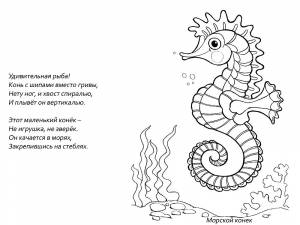 Раскраска Морской Конек