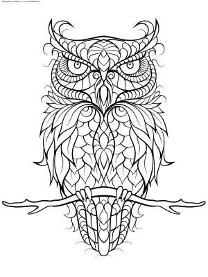 Раскраска Ушастый фн