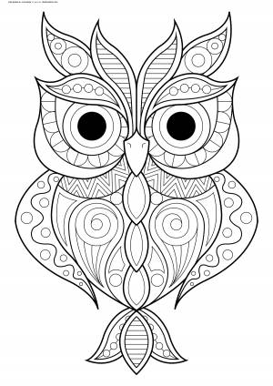 Раскраска Красивая сова