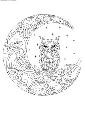 Раскраска Сова и месяц