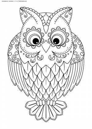 Раскраска Сова
