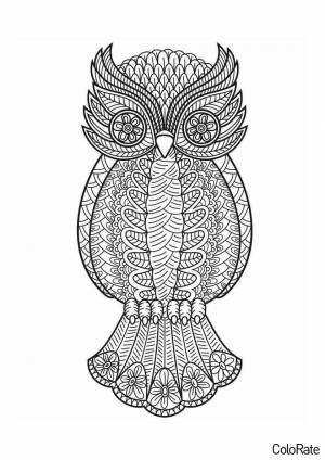 Раскраска Антистресс сова
