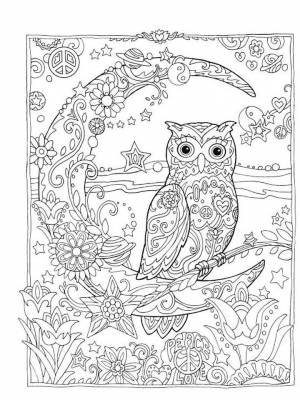 Картинка Сова Антистресс  для детей