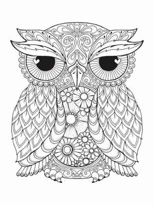 Раскраски Сова Антистресс